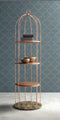 Showcases and Bookcases Tweet